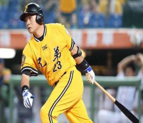 MLB職業棒球賽，BCR娛樂城為台灣隊加油